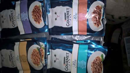 Photo of free cat food (Clayton West HD8) #1