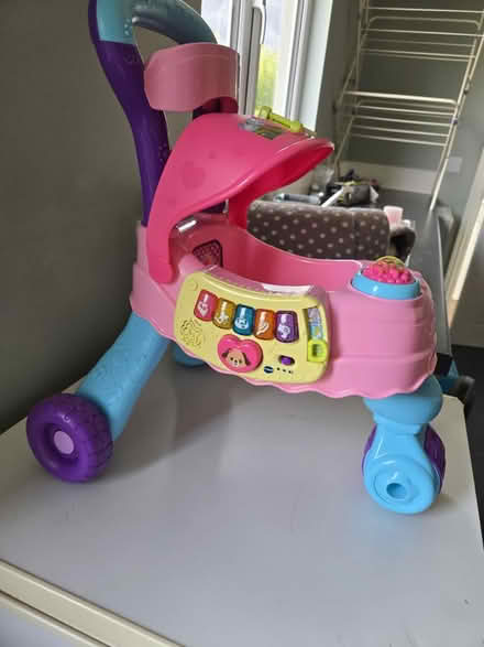 Photo of free Puppy pushchair (Ford end CM3) #2