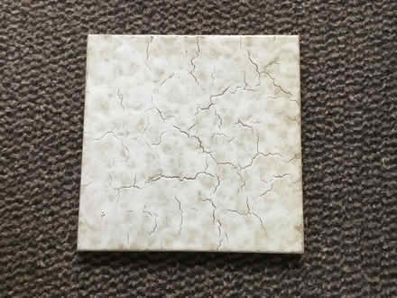 Photo of free Patterned & Plain to Match Ceramic Floor Tiles 20cm x 20cm (South Woodford E18) #1