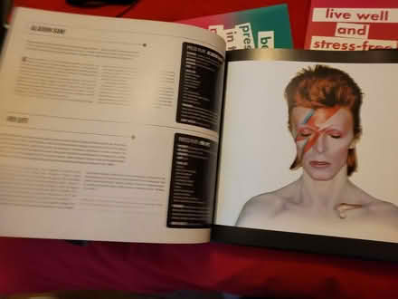 Photo of free Hardback Bowie and F Mac books (RG6 Reading/Earley) #2
