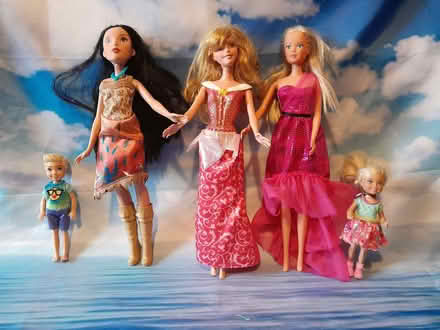 Photo of free Barbie Doll & Accessories Bundle (Buxted TN22) #4