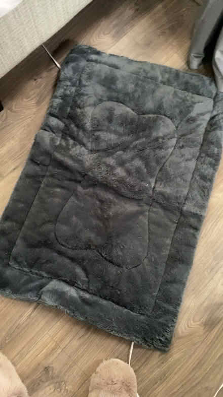 Photo of free Dog crate cushion (Bloxwich WS3) #1