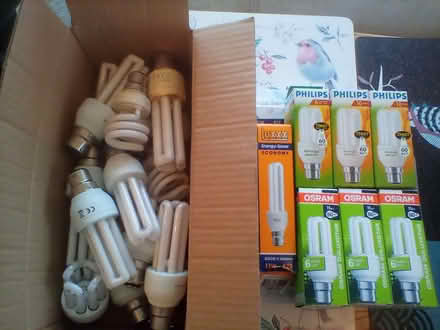 Photo of free Light bulbs (Highley WV16) #1