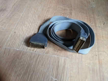 Photo of free Scart lead (Warden Hill GL51) #1