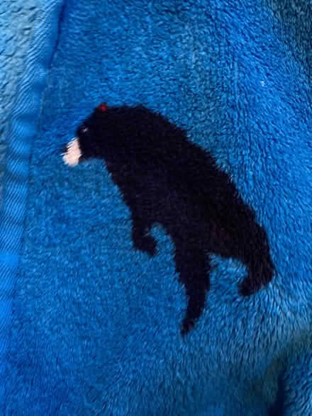 Photo of free Dressing gown with hood. 10 yrs (M20 east didsbury) #2