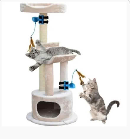 Photo of Cat scratching posts (Sharples Bolton BL1) #1