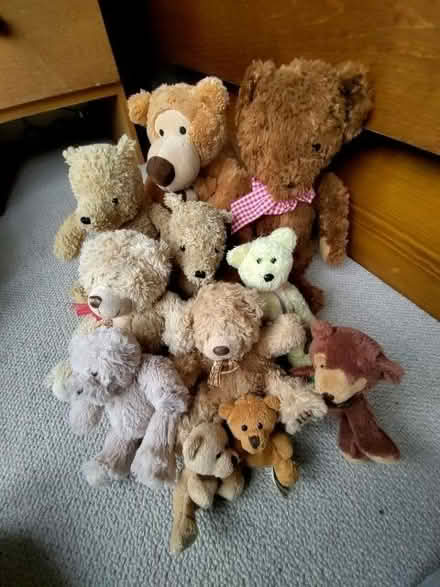Photo of free 12 teddies (High Heaton NE7) #1