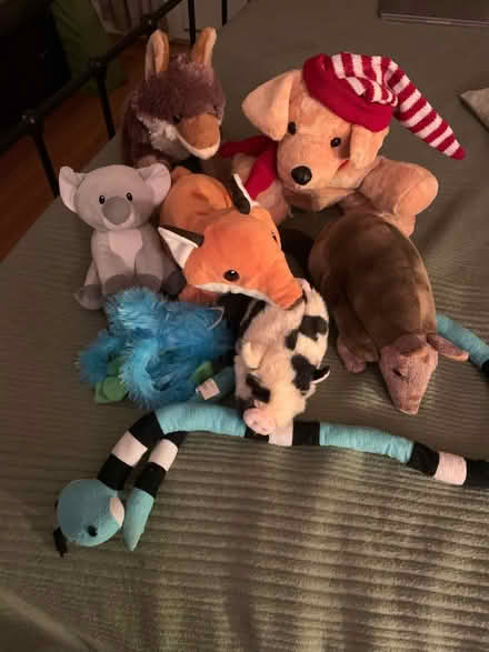 Photo of free Stuffed toy animals (North Berkeley) #1