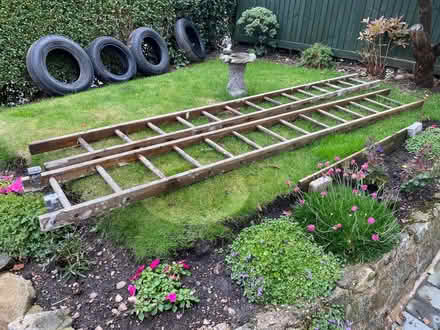 Photo of free 2 wooden ladders (Abbots Bromley WS15) #1