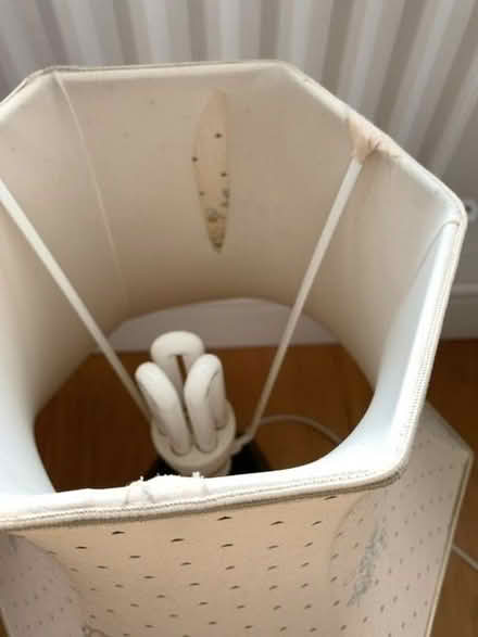 Photo of free 2 lamps and shades (Horsell GU21) #2