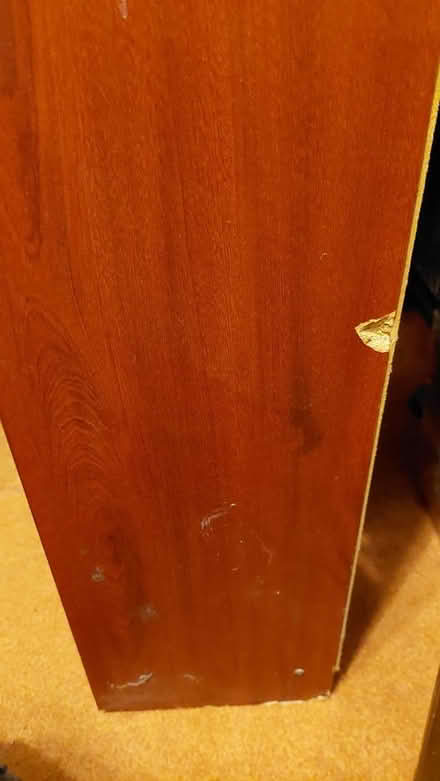 Photo of free Tall shelving unit (Torquay TQ2) #2