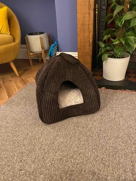 Photo of free 2nd hand cat igloo (M16 Trafford) #4