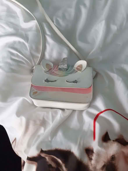 Photo of free Unicorn handbag (Penrith CA11) #1