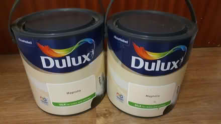 Photo of free Magnolia paint (Blackbird Leys OX4) #1