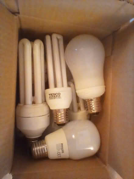 Photo of free Light bulbs (Highley WV16) #4