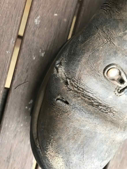 Photo of free Walking boots (size 41/42) (Holy Corner EH10) #3