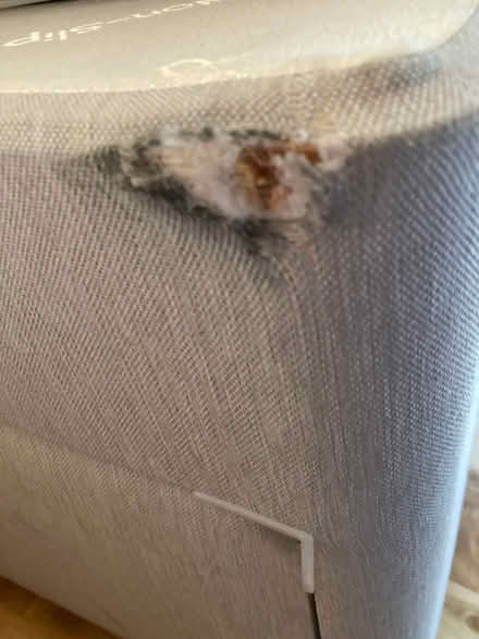 Photo of free single bed (Westdean BN25) #1