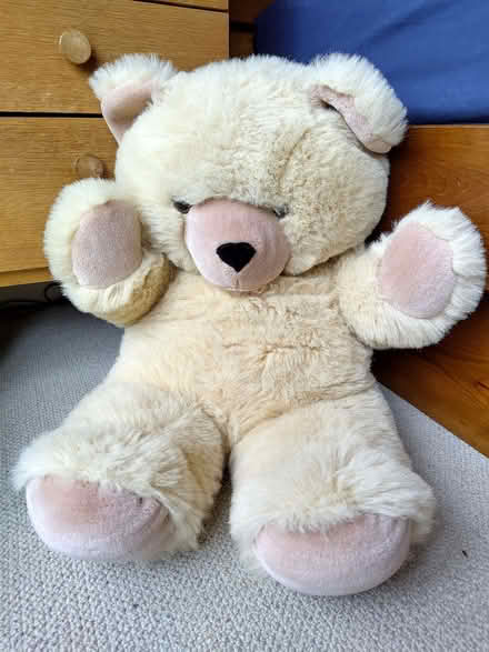 Photo of free Large teddy bear (High Heaton NE7) #1