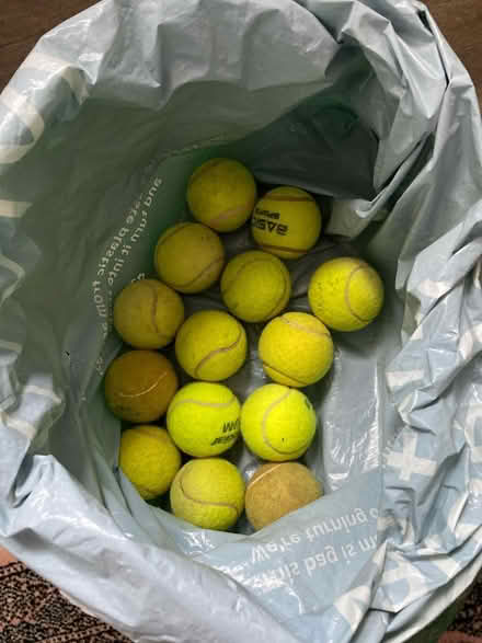 Photo of free Tennis balls (Bishops Stortford) #1