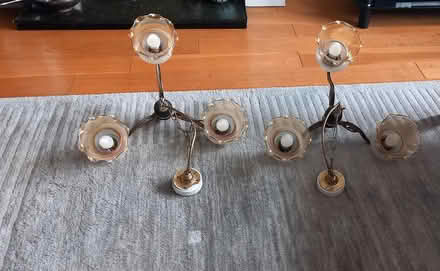 Photo of free Ceiling lights (N21) #3