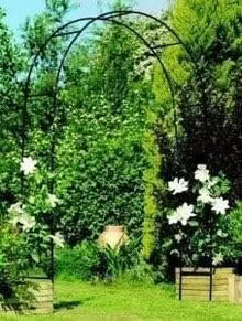 Photo of free steel frame garden/wedding arch (Chipping Sodbury BS37) #2