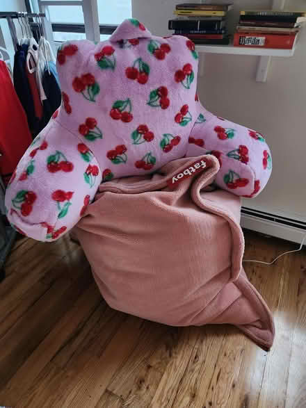 Photo of free New Bean Bag and Reading Pillow (Upper West Side/Harlem) #1