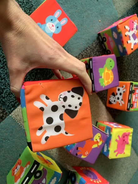 Photo of free Soft animal blocks (RG30 Tilehurst) #2