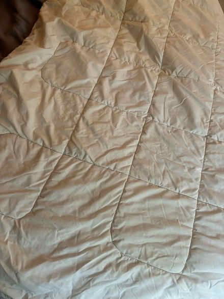 Photo of free Duvet queen/king (Hume Road- Puslinch) #1