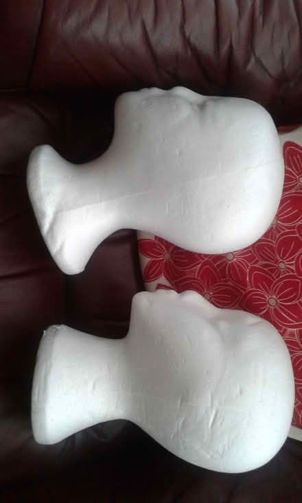 Photo of free 2 x Polystyrene Heads (St Blazey Gate PL24) #2