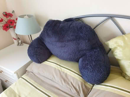 Photo of free "Teddy Bear" back cushion. (West End LA3) #1