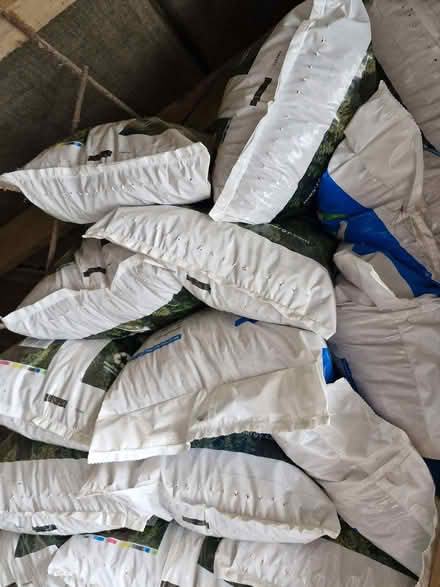 Photo of free Wood pellets (Ashton PL17) #1