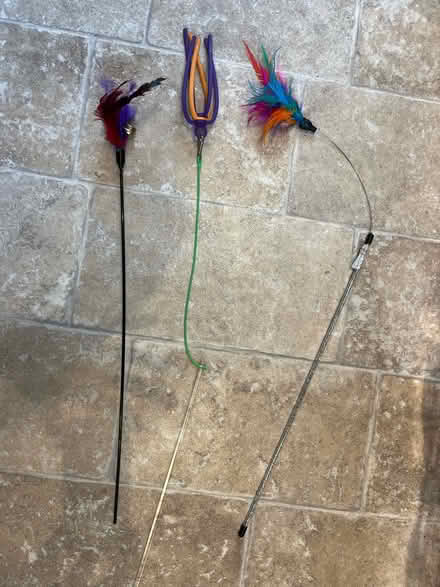 Photo of free Cat wands (East Barnet, EN4) #1
