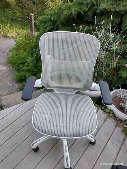 Photo of free Office chair (Thornhill Drive near Woodhaven) #1