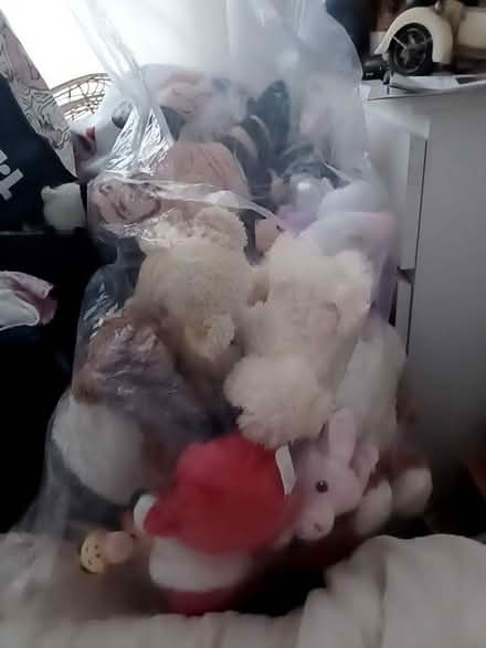 Photo of free Loads of teddies (Tuckswood NR4) #2