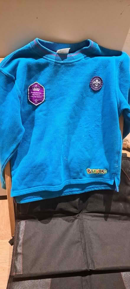 Photo of free Beavers Jumper (Horsham RH13) #1