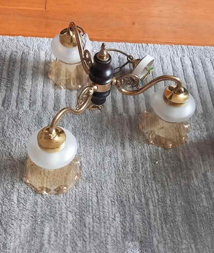 Photo of free Ceiling lights (N21) #2