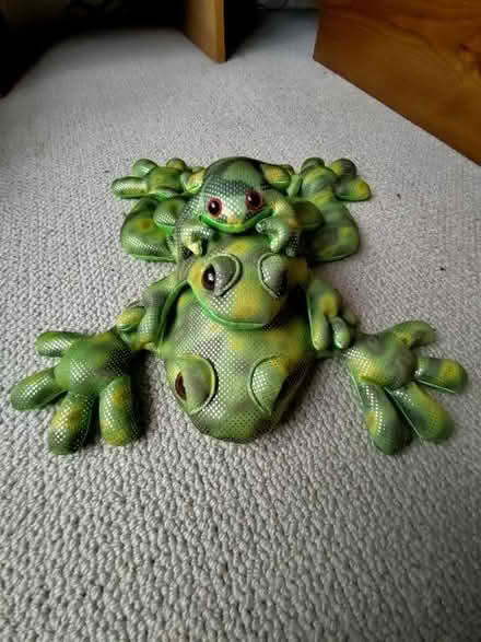Photo of free Family of frogs (beanbags) (High Heaton NE7) #1