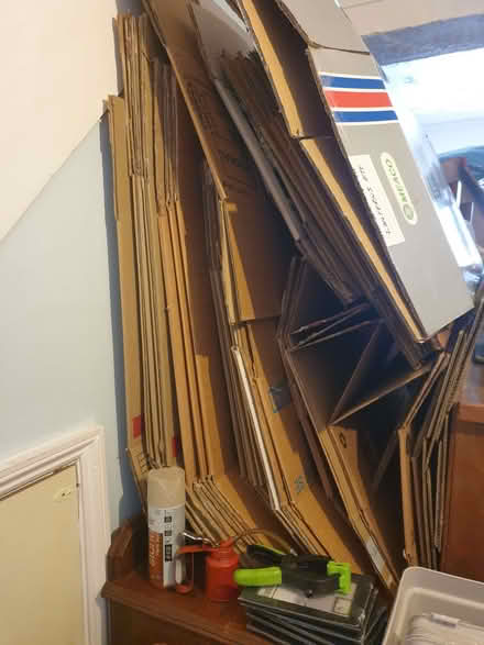 Photo of free Moving boxes (New Town CO1) #1