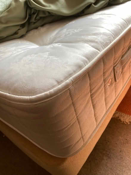 Photo of free Single bed base & mattress (Queen's Park BN2) #3