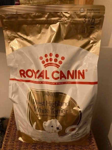 Photo of free Dry Food for West Highland Terrier (Bath BA2) #1