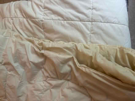 Photo of free Duvet queen/king (Hume Road- Puslinch) #2