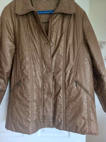 Photo of free Ladies Brown Padded Jacket (CT6) #1