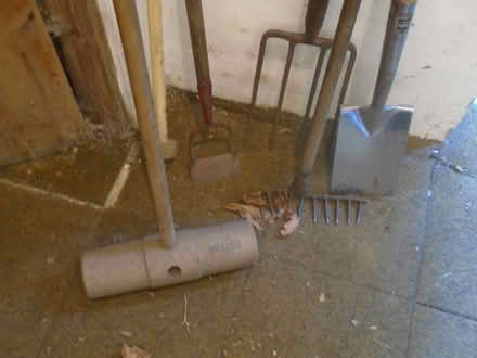 Photo of free Garden tools (Broomhill S10) #1