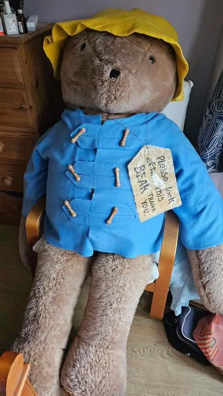 Photo of free GIANT Paddington Bear (Buggs Bottom RG4) #1