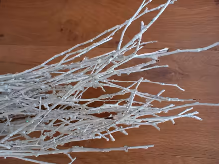 Photo of free Sparkly twigs (Woodley RG5) #1