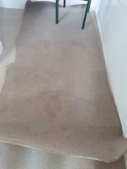 Photo of free Length of good quality, unused, unfaded carpet, fawn colour. (Cressex HP12) #1