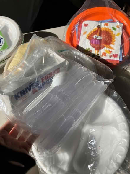 Photo of free Party plates, utensils, napkins (Monta Vista) #1