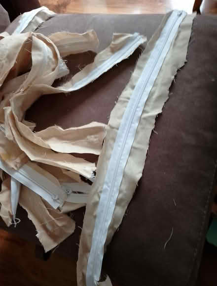 Photo of free Zippers (Henbury) #2
