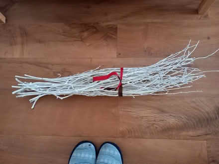Photo of free Sparkly twigs (Woodley RG5) #2