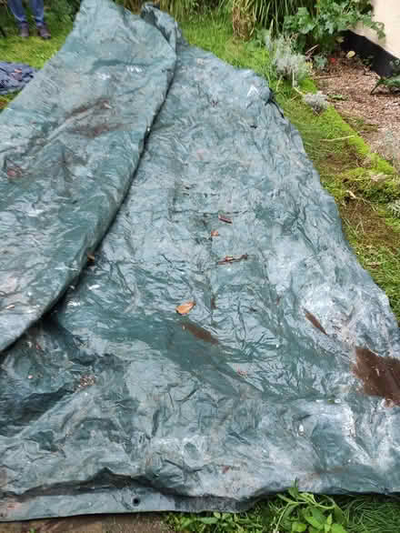 Photo of free Tarpaulin 5x4 metres (Canterbury) #1